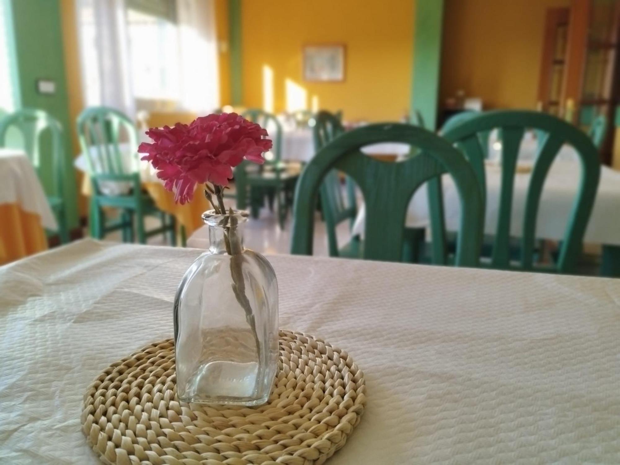 Hotel Matalenas 산탄데르 외부 사진